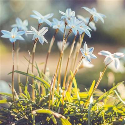 b体育官方入口在线登录网站