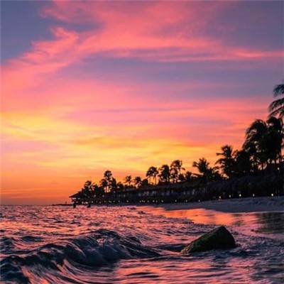 b体育官方入口在线登录网站