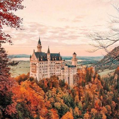 华体育下载手机版