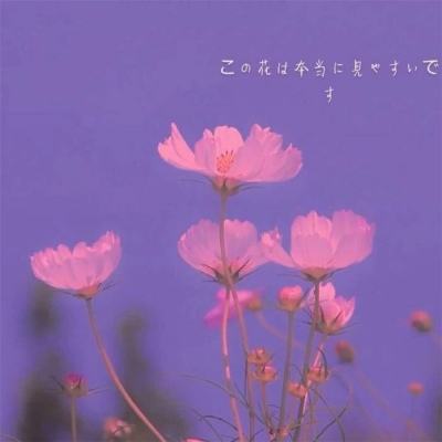 246天天好彩app下载