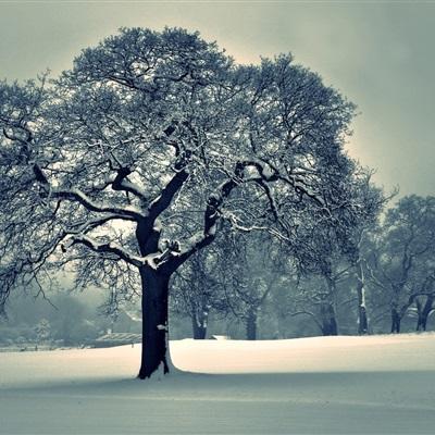 博冠体育App下载