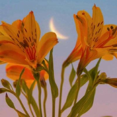 爱体育官方网站app下载