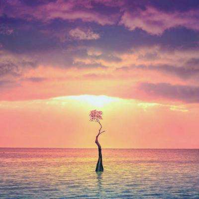 IM体育官方网站入口