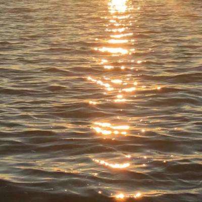 宝博游戏手机app下载