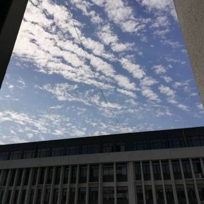 kaiyun·开云下载手机版